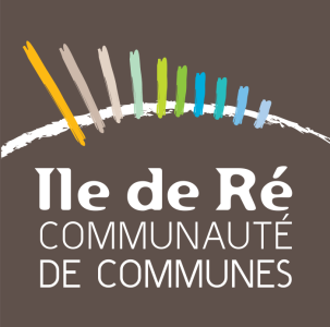 CDCIDR-logo